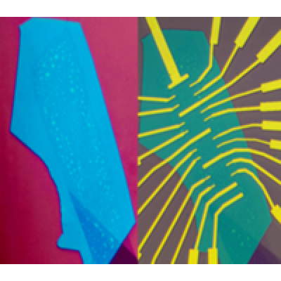 ../../images/news/PhysRevX.4.041019.png
