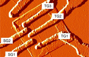 ../../images/news/Unbenannt-3.png