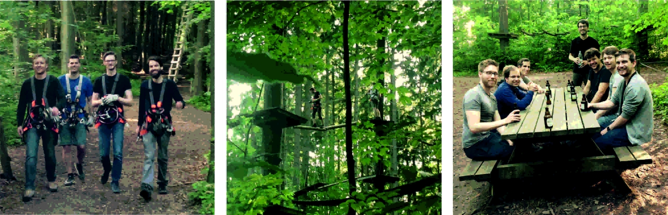 ../../images/news/woods.jpg